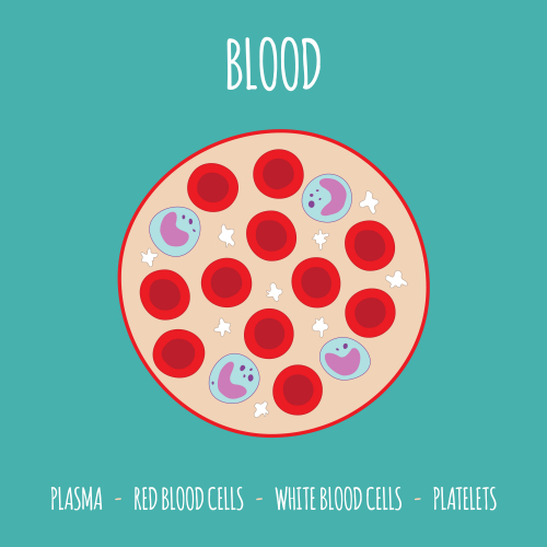 Image of blood composition