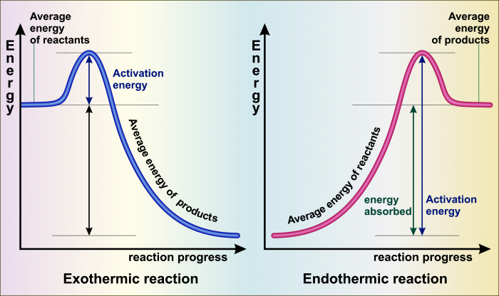 A reaction profile graph