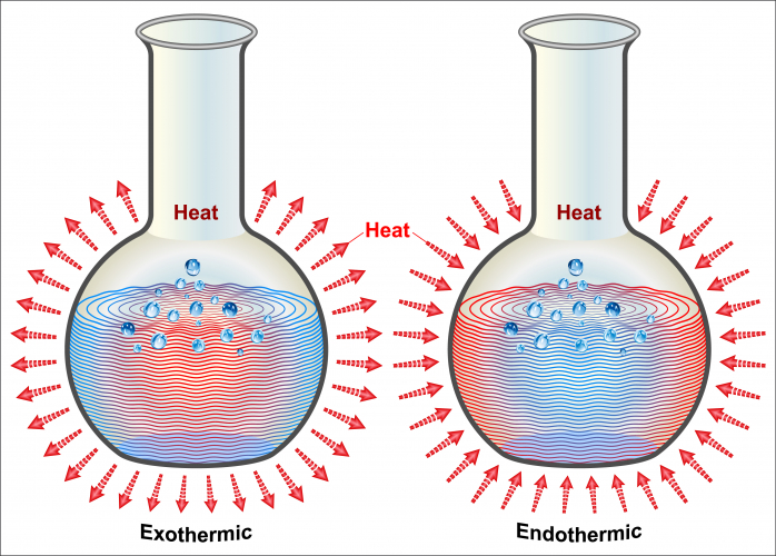 Exothermic and endothermic reactions