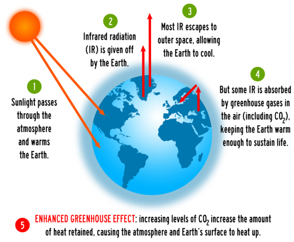 The greenhouse effect