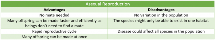 Positives and negatives of asexual reproduction