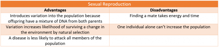 Chart on positives and negatives of sexual reproduction