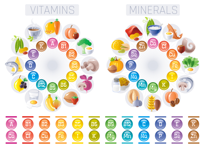 Image of all the different vitamins and minerals