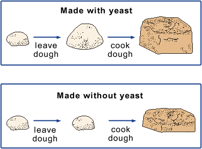 Image of bread made with yeast