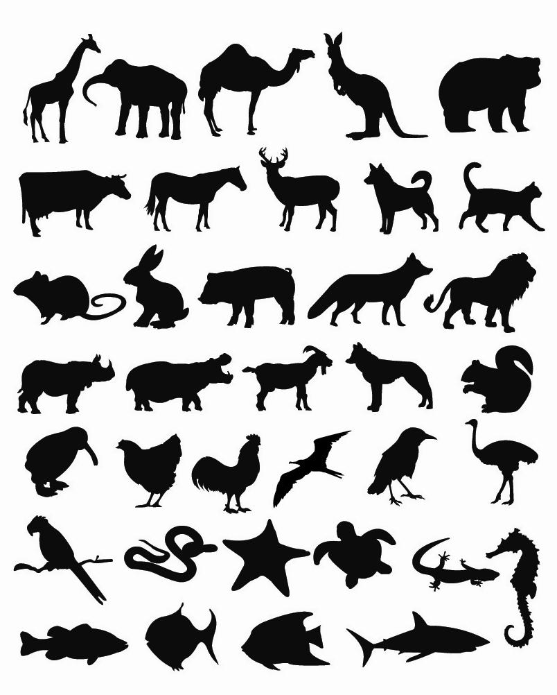 silhouette pictures of different animals