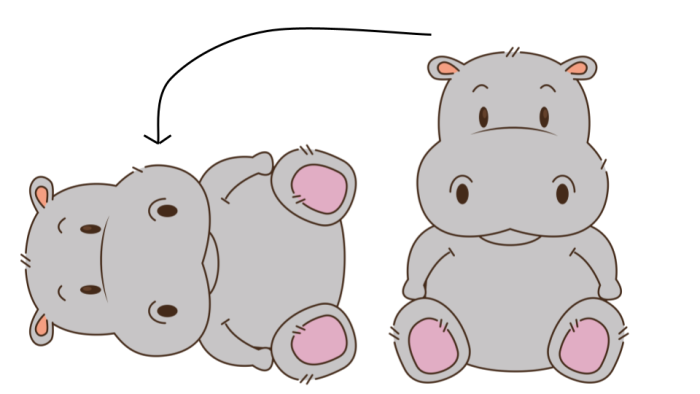 hippo turned anticlockwise