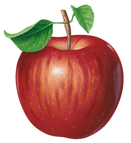 an apple