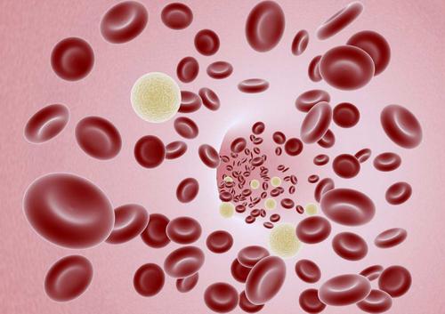 Image of blood cells