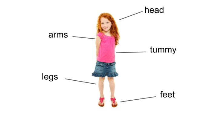 Labelled body parts