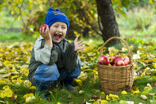 boy with apples
