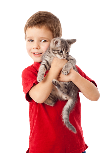 A boy with a tabby cat