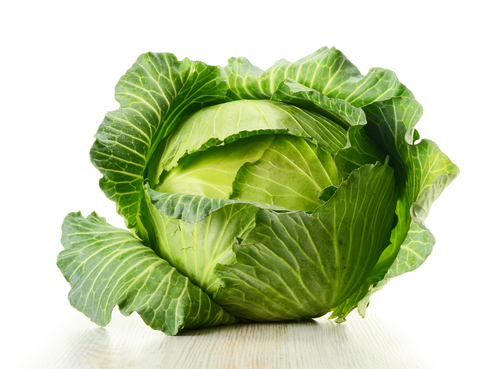 Cabbage