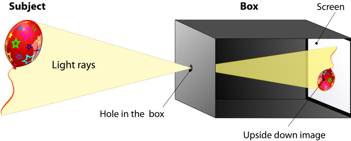 pinhole camera ray diagram; light rays enter the box through a hole, creating an upside down image