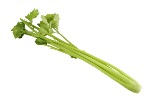 celery stems