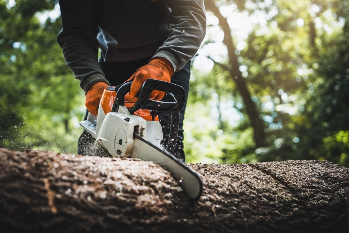 man cutting tree chainsaw