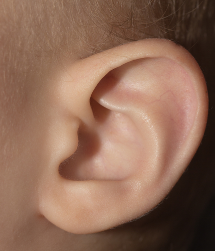 child's ear