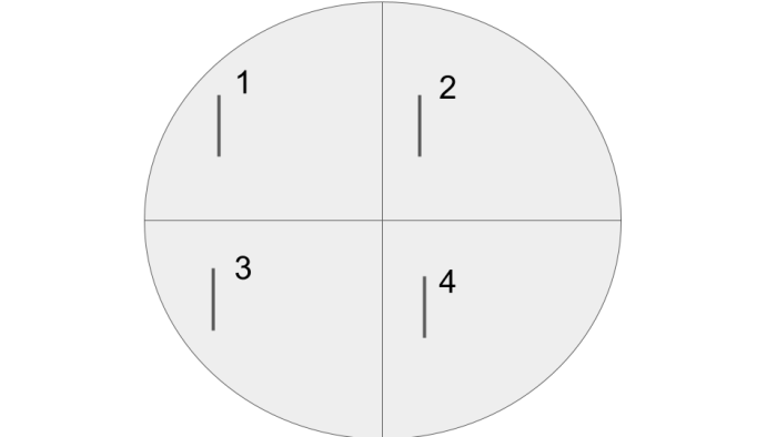 circle split into 4 parts