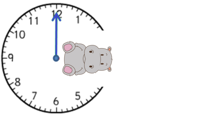 hippo turned clockwise