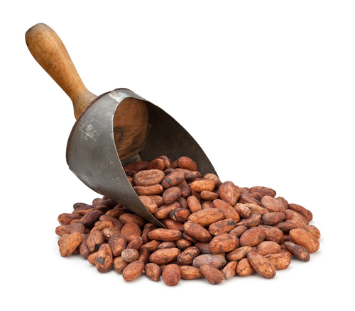 cocoa beans