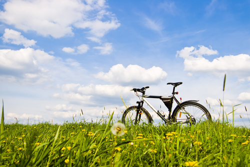 bike in the sun