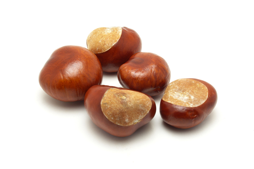 Image of horse chestnut