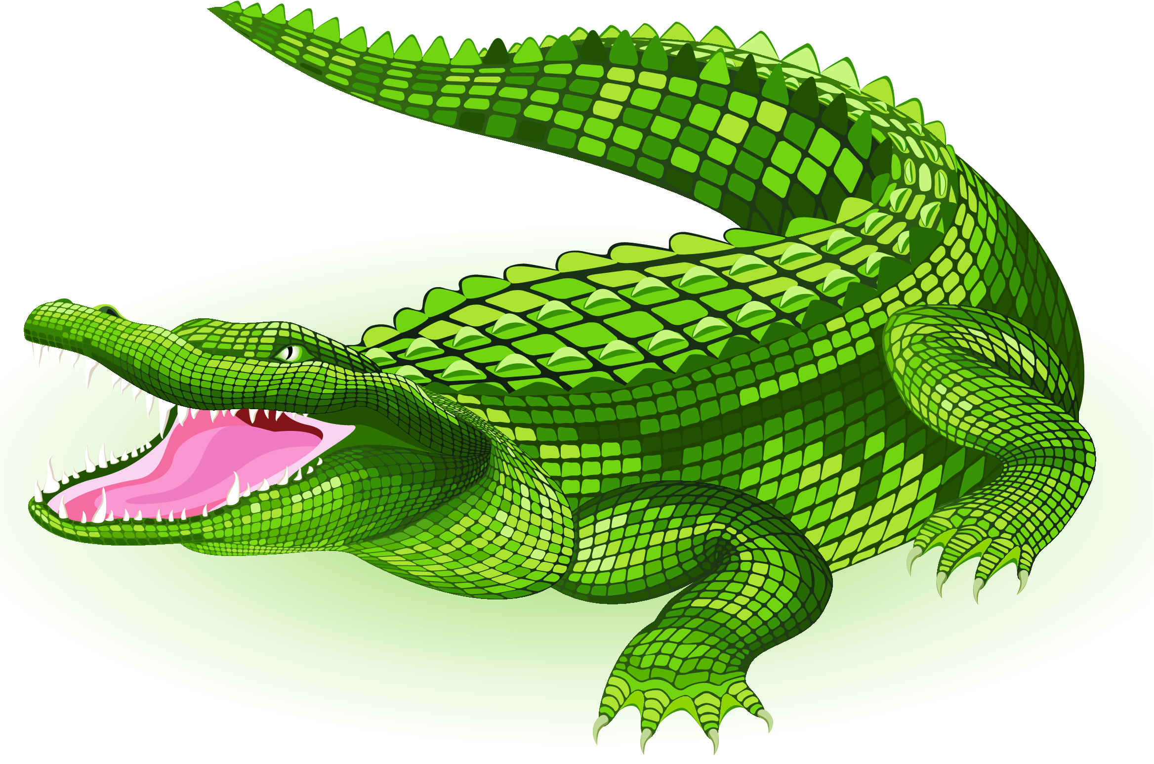 crocodile