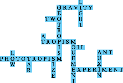 scientific words in a crossword