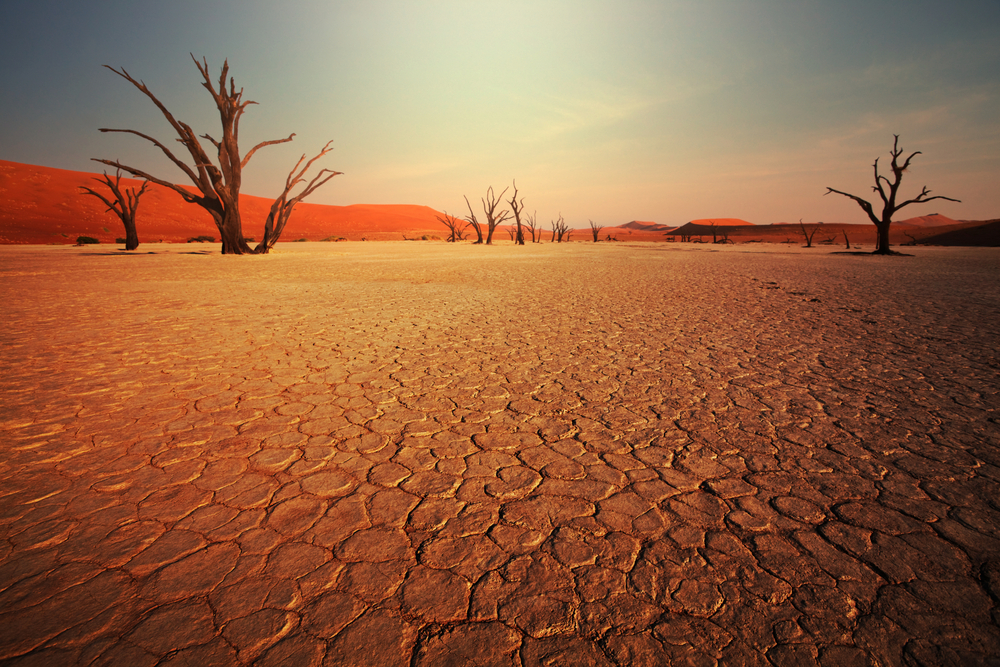 Image of the desert
