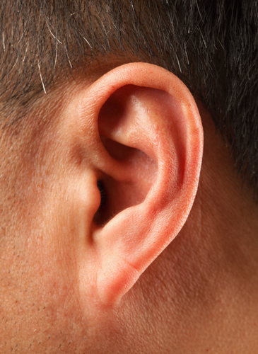 a human ear
