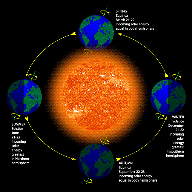 seasons diagram worksheet