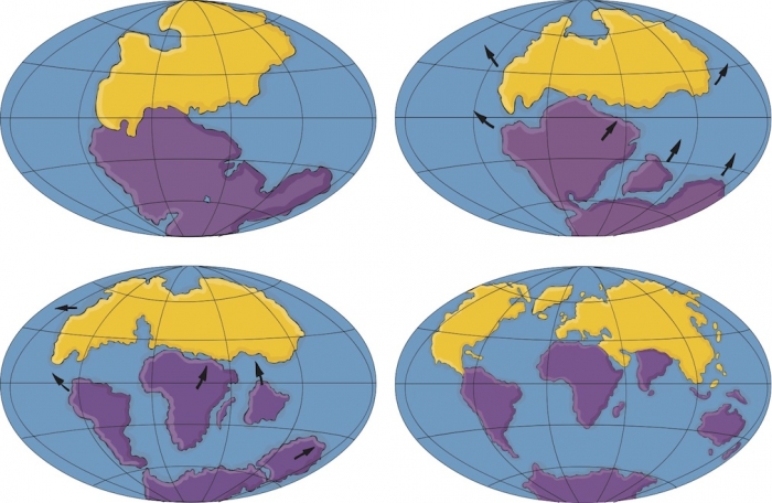 Development of the Earths' continents