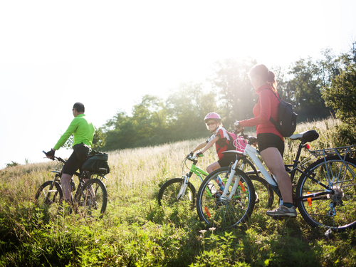 family cycling in summer