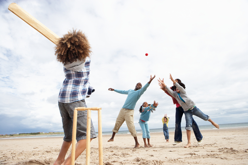 family playing cricket