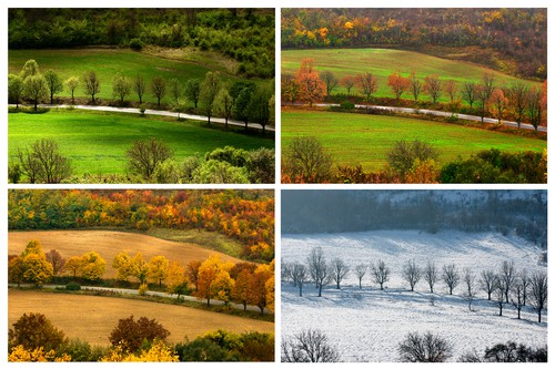 the four seasons