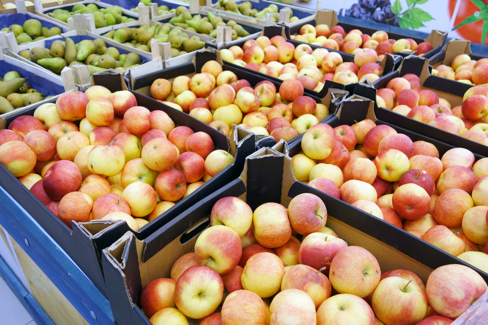 containers of fruit