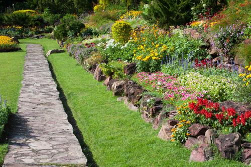 A garden with grass and flowers