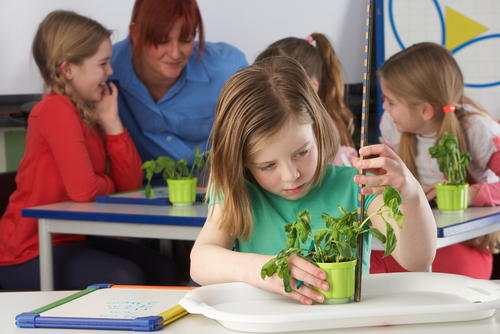 girl measuring plant