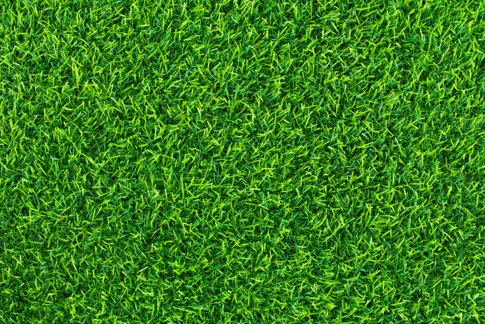 green grass