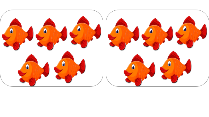 groups of fish
