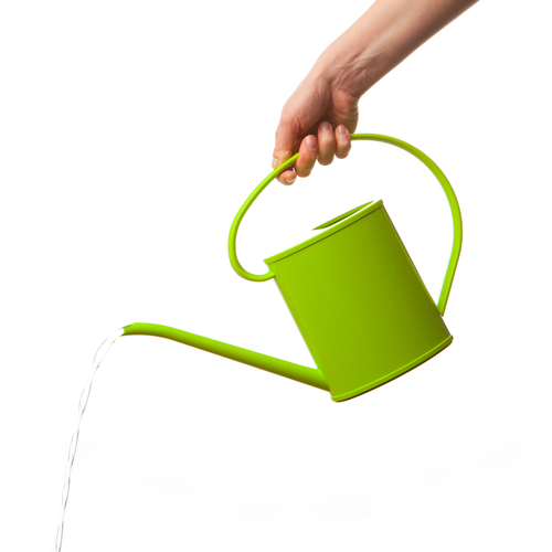 Hand pouring watering can