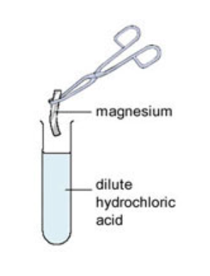 magnesium in hydrochloric acid