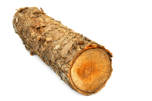 a log