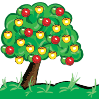 apple tree