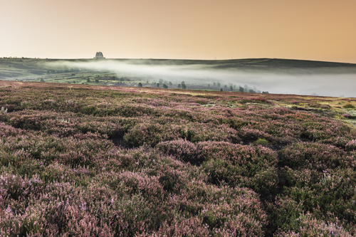 eerie moorland