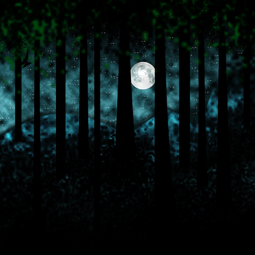 Moonlight shining through trees at night.