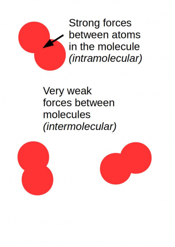 Oxygen - intermolecular and intramolecular forces