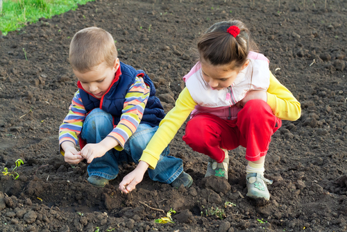 children planting seeds