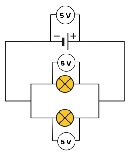 parallel circuit with voltmeters