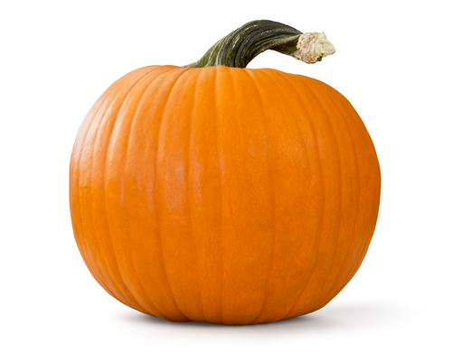 a pumpkin