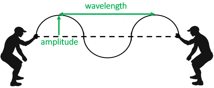 wave with amplitude and wavelength labelled